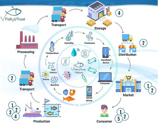 Figure 3: The FishEUTrust Concept showing how the different tools and sensors will be used in the supply chain