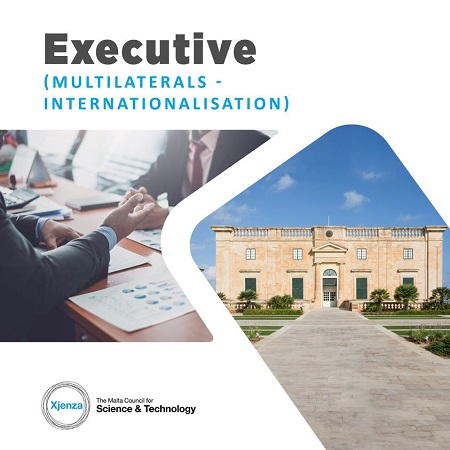 Executive (Multilaterals – Internationalisation)