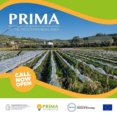 PRIMA Section 2 Call 2024