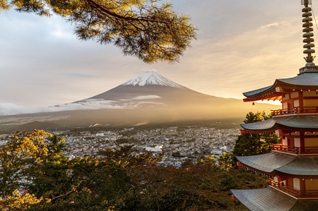 JSPS Invitational Fellowships for Research in Japan (FY2026)